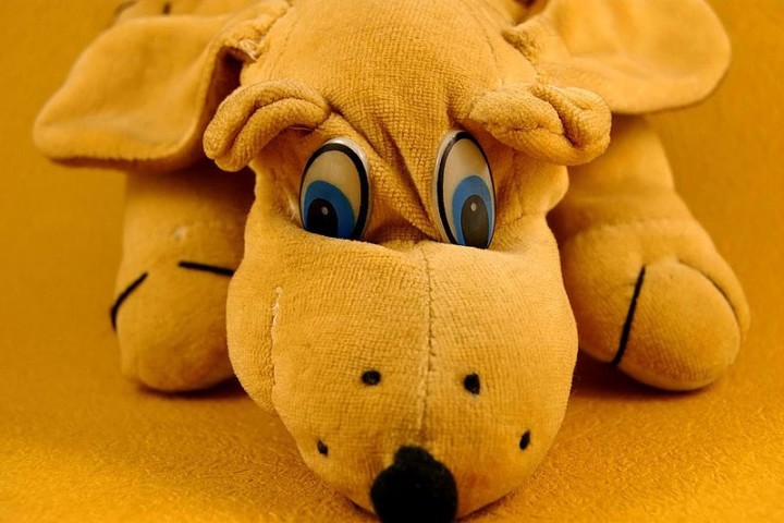 800px-Stuffed_animal_toy