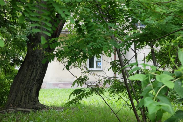 dom Piłsudski podwórze 2